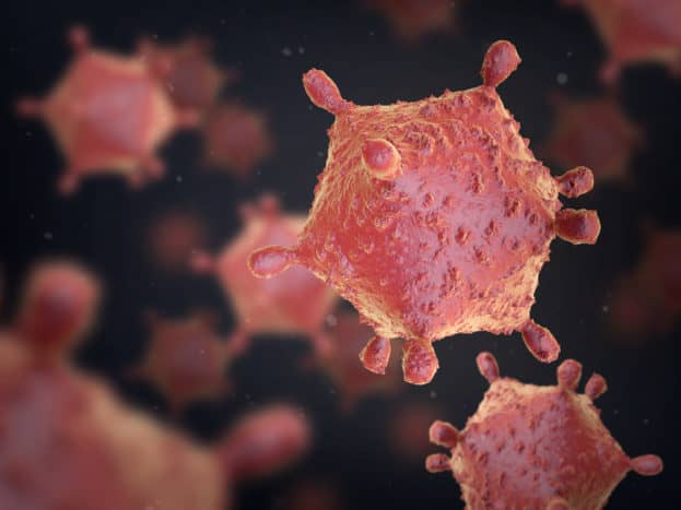 वायरस बीमारी के बैक्टीरिया पर हमला करता है
