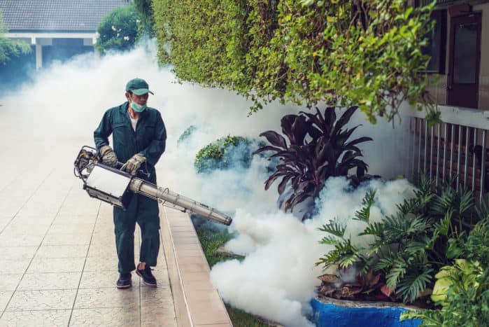 डेंगू के मच्छरों में फॉगिंग गैस