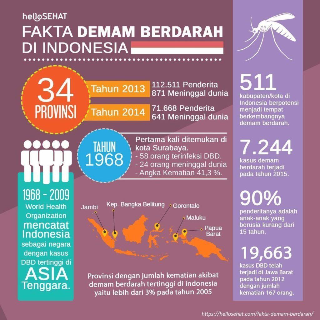 इंडोनेशिया में डेंगू बुखार हेलोशेत