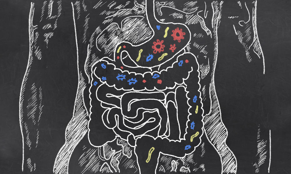 आंत में बैक्टीरिया पर आधारित आहार पैटर्न