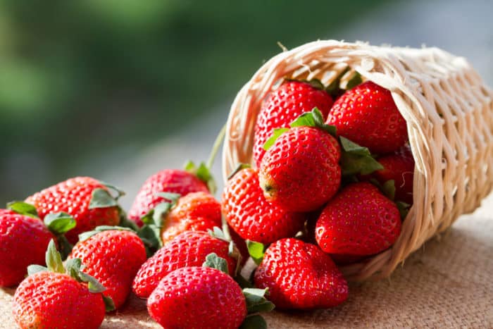 स्ट्रॉबेरी फल के लाभ
